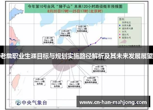 老詹职业生涯目标与规划实施路径解析及其未来发展展望