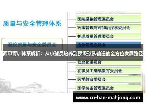 西甲青训体系解析：从小球员培养到顶级球队输送的全方位发展路径