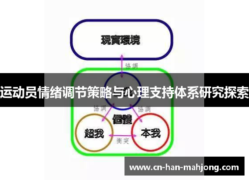 运动员情绪调节策略与心理支持体系研究探索 运动员情绪调节策略与心理支持体系研究探索
