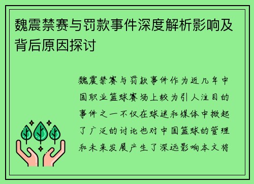 魏震禁赛与罚款事件深度解析影响及背后原因探讨