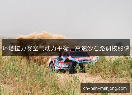 环塔拉力赛空气动力平衡，高速沙石路调校秘诀